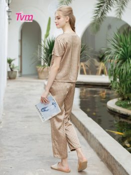 (Tiếng Việt) BỘ DÀI B624