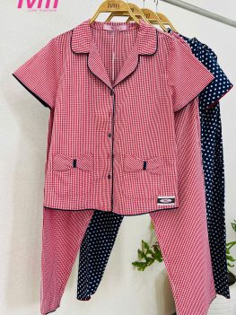 (Tiếng Việt) BỘ DÀI B667