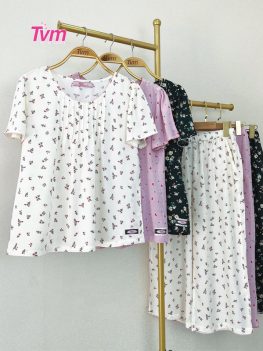 (Tiếng Việt) BỘ LỬNG B707