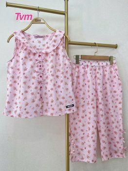 (Tiếng Việt) BỘ LỬNG B672