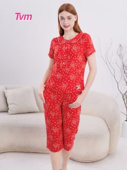 BỘ LỬNG B706