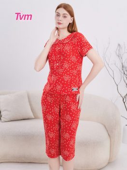 BỘ LỬNG B706