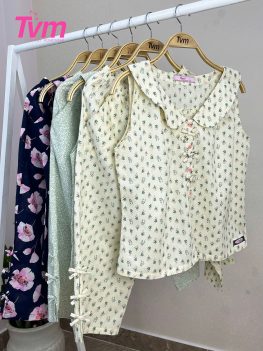 (Tiếng Việt) BỘ LỬNG B672