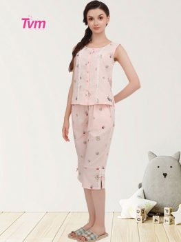 BỘ LỬNG B681