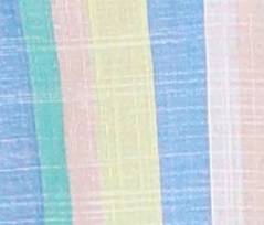 BỘ SHORT B719