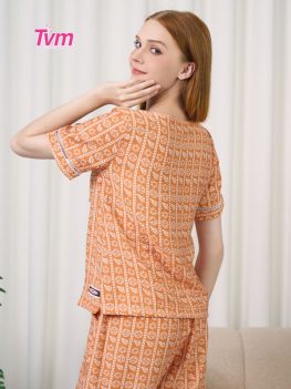 (Tiếng Việt) BỘ LỬNG B714