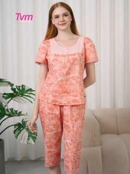 BỘ LỬNG B720