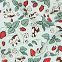 BỘ DÀI B696