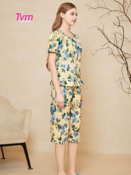 (Tiếng Việt) BỘ LỬNG B701