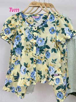 (Tiếng Việt) BỘ LỬNG B701