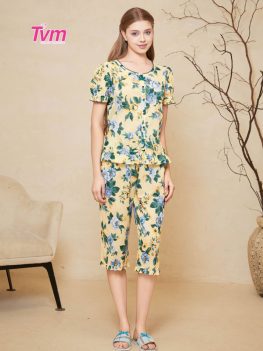 (Tiếng Việt) BỘ LỬNG B701