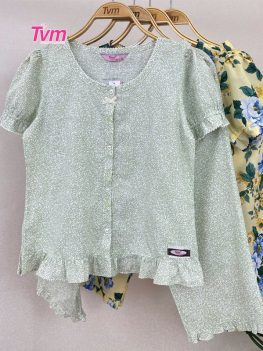 (Tiếng Việt) BỘ LỬNG B701