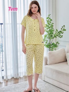 BỘ LỬNG B706